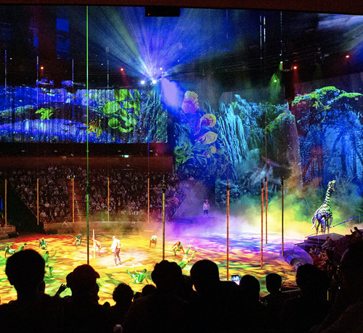 ‘A canvas of endless possibilities’ Inside the world of projection