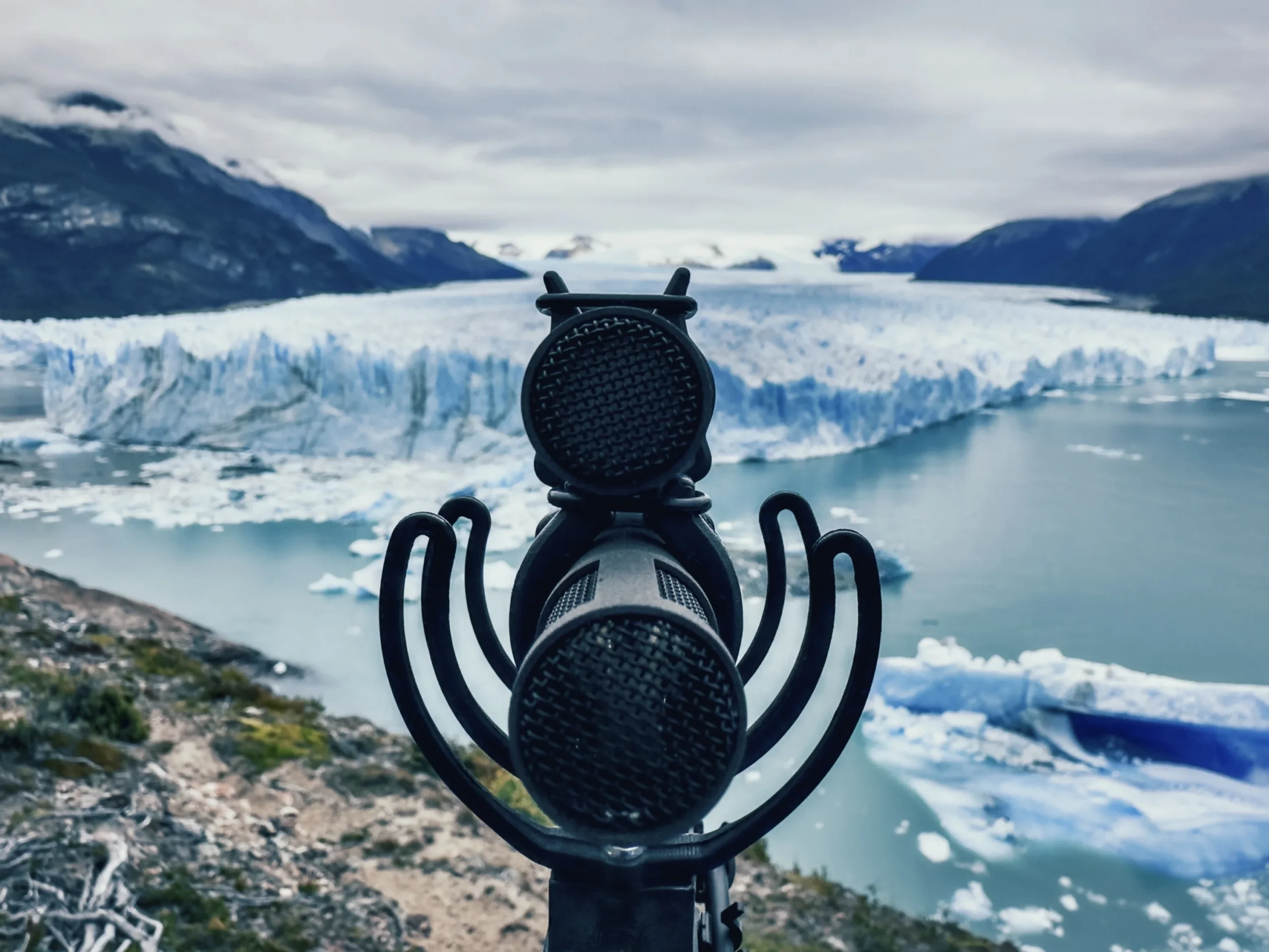 Sennheiser round table experts discuss recording in the wild - Installation